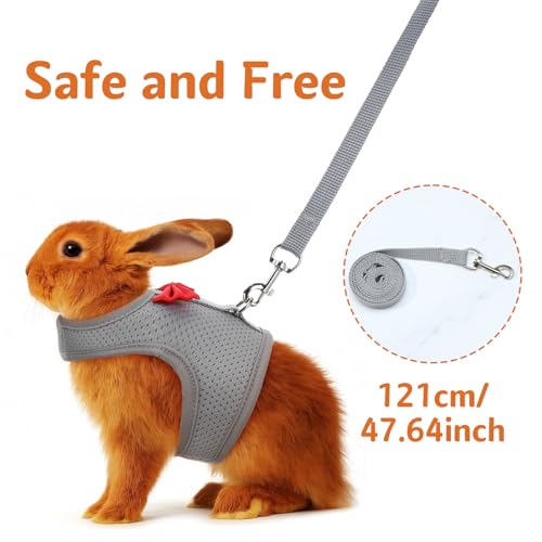 Bunny Harness and Leash Set, Soft Breathable Mesh Rabbit Leash Vest with Safety Buckles, Lightweight Escape-Proof Walking Gear for Rabbits, Kittens, Ferrets, Guinea Pigs, Grey M - color: Grey