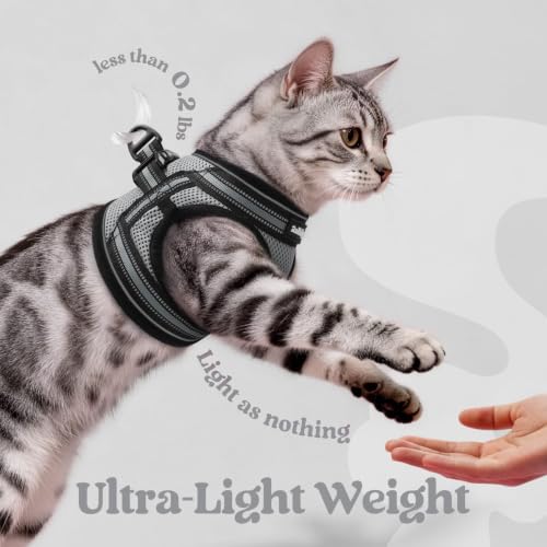 rabbitgoo Cat Harness and Leash Set, Step-in Soft Vest, Grey | Escape Proof, Lightweight, Easy-on & Adjustable, Hook & Loop with Buckle, Reflective, for Kittens & Small Cats Walks, S - color: Grey, size: S