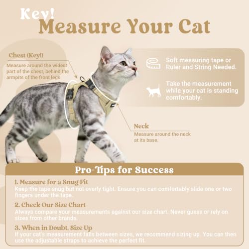 rabbitgoo Cat Harness and Leash Set, Easy-on with Neck Buckle, Cream Coffee | Escape Proof, No Over-the-head, Soft Air Mesh, 3 Lockable Adjusters & Buckles, Reflective, for Kittens & Small Cats Walks, Xs - color: Cream coffee, size: Xs