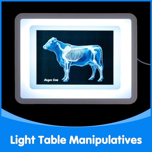 10 Pcs Farm Animal Xrays - Light Table Accessories | Vet Role Play & Preschool Learning Farm Animal X-Ray Set - style: Farm Series