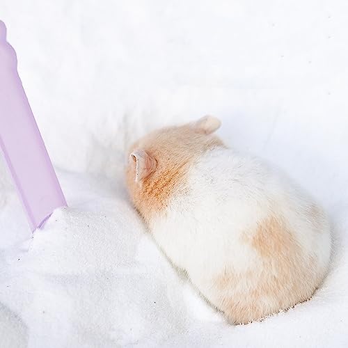 DR.DUDU 2.8lb Hamster Sand for Sand Bath, Hamster Cage Accessories(White) | Dust Free Desert Sand for Gerbil Chinchillas Syrian Mice Small Animals - color: White, size: 2.8lb