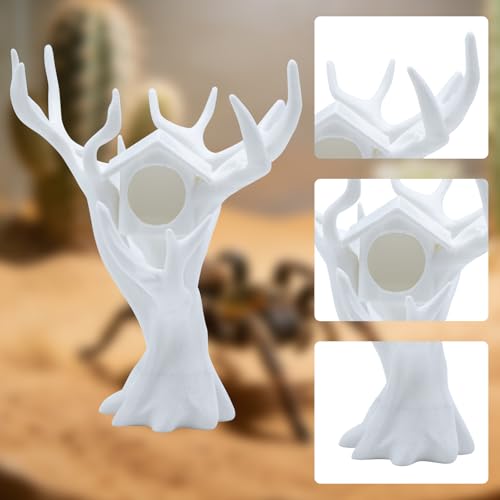 3D-Printed Tree Decor for Jumping Spiders - 2 Pack Climbing Tree with Hideout House, Black & White Habitat Decoration for Enclosures