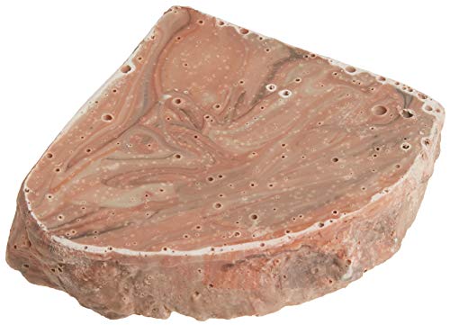 Fluker's Corner Rock Bowl, Food & Water Dish for Hermit Crabs, Medium 6" - size: Medium