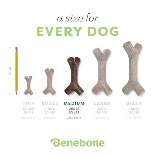 Benebone Maplestick Real Wood Durable Dog Chew Toy, Made in USA, Medium | Durable, Made in USA, Dog Bones, Long-Lasting, A Size for Every Dog, Keeps Them Busy - color: REAL Maplewood, size: Medium