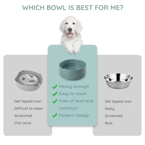 SPUNKYJUNKY 13.5OZ Ceramic Dog and Cat Bowl, Modern Cute Weighted Food Water Bowl for Replacement Light Green (2 Pack) - color: Light Green, size: 1.7 CUPS × 2