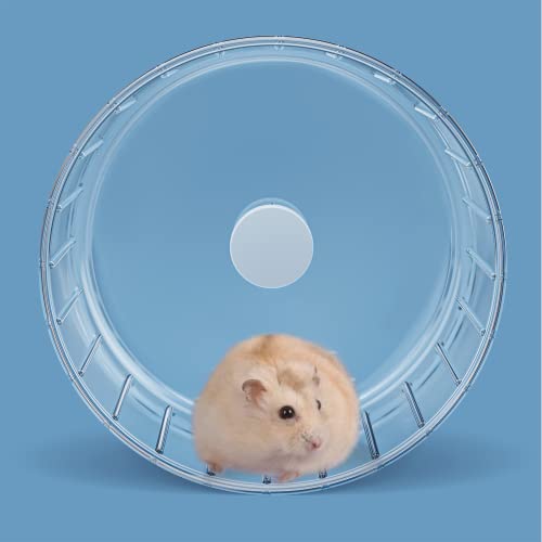 BUCATSTATE Silent Hamster Wheel, 6.7in Exercise Wheel for Gerbil, Dwarf Syrian Hamster, Rat, Mice - size: 6.7inch