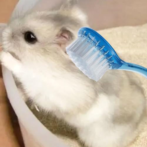 3 Pcs Hamster Brushes, Mini Hedgehog Cleaning Brush Portable Hamster Hair Grooming Accessories Soft Pet Massage Comb for Bathing