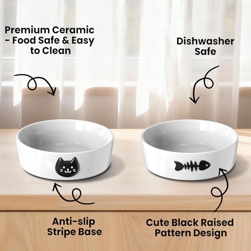Ceramic Cat Bowls Set, 5.3''×1.5'', with Anti-Slip Rings, 1 Cup Capacity