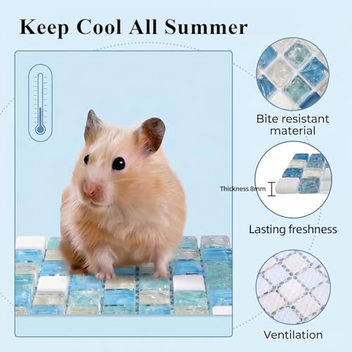 Magnetic Hamster Hideout with Open Lid & Crystal Cooling Pad Set, Visible Hamster House, Summer Cooling Ice Bed, Small Animal Houses & Habitats, Hamster Cage Accessories for Dwarf Mice Rat (Khaki) - color: Khaki