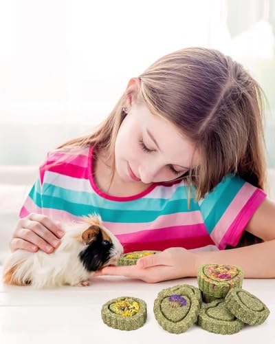 Sofier 20Pcs Timothy Hay Treats - Natural Chews for Teeth - Handmade Rabbit, Chinchilla, Gerbil, Rat, Hamster Toys - Bunny & Guinea Pig - style: 20pcs Treats