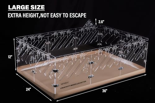 Acrylic Guinea Pig Cages - 3x2ft Small Animal Cage | DIY Extendable | Easy-to-Clean Disposable Bottom (Without Lid) - color: 2x3 ft Cage