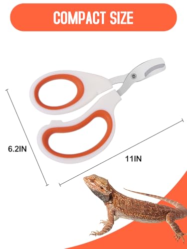 Stainless Steel Bearded Dragon Nail Clippers,Lizard Nail Clippers,Bearded Dragon Supplies,Bearded Dragon Nail Scissors for Small Reptiles,Turtle,Chameleon,Iguana，Hedgehog（Orange） - color: Orange