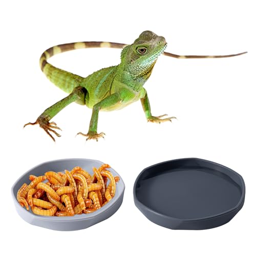 4 Pack Small Reptile Food Dish Bowl, Plastic Worm Water Dish Plate | Reptile Food Bowls for Lizard Gecko Bearded Dragon Chameleon 4" W x 4" D x 0.5" H, White and Grey - color: White and Grey