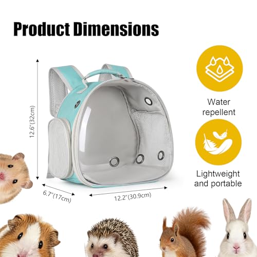 Guinea Pig Backpack, Space Capsule Bubble Window Small Animal Backpack for Guinea Pig, Bird Bunny Rat - color: Green