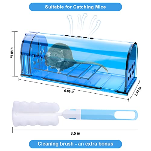 6 Pack Humane Mouse Rat Traps No Kill Live Mice Trap Indoor for Home-Blue | Catch & Release, A Bush to Clean, Safe for Child Pet Indoor Outdoor - size: Blue-6 Pack