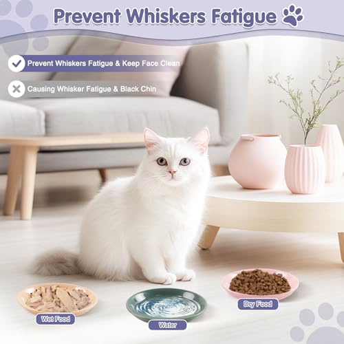 6 Pack Cat Food Bowl, Ceramic Cat Bowls, Anti Whisker Fatigue Cats Bowl Set | 5.5 Inches Shallow Wide Kitten Plates for Food and Water (CaiSe-B) - color: CaiSe-B