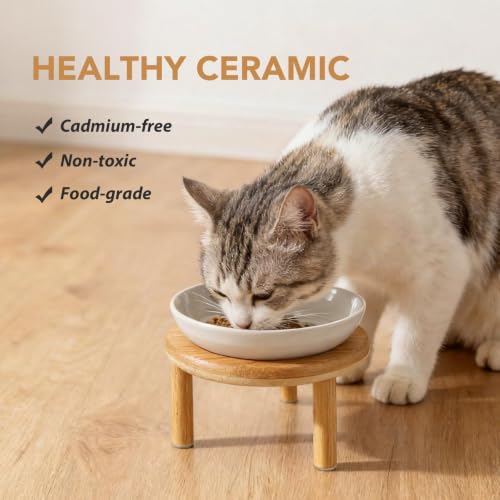 Havniva Elevated Cat Bowls, Ceramic Cat Bowl with Bamboo Stand Wide Opening | 5.7” Raised Cat Food Bowls, Whisker Friendly Cat Dish, Anti-Slip Cat Water Bowls, Shallow Cat Bowls, Cat Food & Water Bowl - color: White