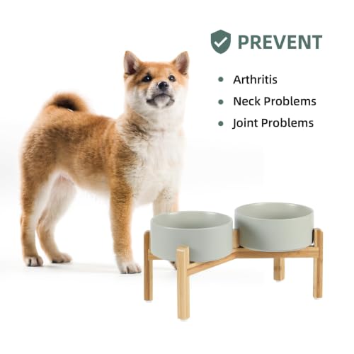 Havniva Dog Bowls Elevated, Ceramic Dog Food and Water Bowl Set | 7.3” Raised Dog Food Bowl, Elevated Dog Bowls with Bamboo Stand, Non-Slip Dog Water Bowl for Medium Dog, Large Capacity - color: Matte Gray, size: 7.3" - 2 Bowls+Stand