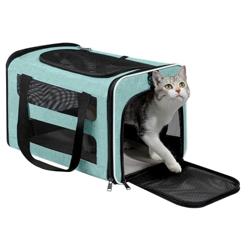 Cat Carrier Soft-Sided Travel Bag for Medium to Large Cat Over 15lbs | Small Puppy Dog Carry Crate 12 Pounds, Top Entry, Breathable Mesh, Pet Kitten Rabbit Cage Bag Transport Kennel Collapsible - color: Teal