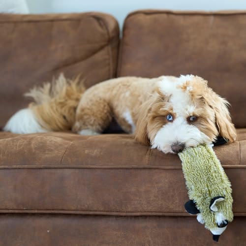 SPOT Skinneeez Raccoon 23 Inch Stuffing-Free Dog Toy – Soft Plush Tug Toy with Two Squeakers for Medium and Large Dogs – Mess-Free Interactive Chew Toy - style: Raccoon