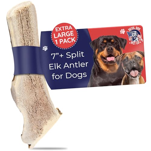 Devil Dog Pet Co Split Elk Antlers for Dogs, XL, Long Lasting | Naturally shed Grade A elk antler split for marrow access, single ingredient, 7/10 hardness, 7 in+, fits breeds up to 80 lb - style: split - XL - 1 Pack
