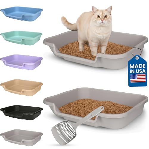KittyGoHere Senior Cat Litter Box, Large Litter pan with Long-Handle Jumbo Scoop, Open Top Low Entrance Kitty Litter Box, Lightweight Low Entry Litters Box, Durable, Made in USA (2 Pack - Misty Gray) - color: Misty Gray, size: Large(2 Pack) with Scoop