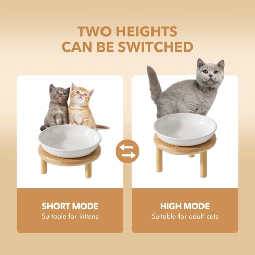 Havniva Elevated Cat Bowls, Ceramic Cat Bowl with Bamboo Stand Wide Opening | 5.7” Raised Cat Food Bowls, Whisker Friendly Cat Dish, Anti-Slip Cat Water Bowls, Shallow Cat Bowls, Cat Food & Water Bowl - color: White