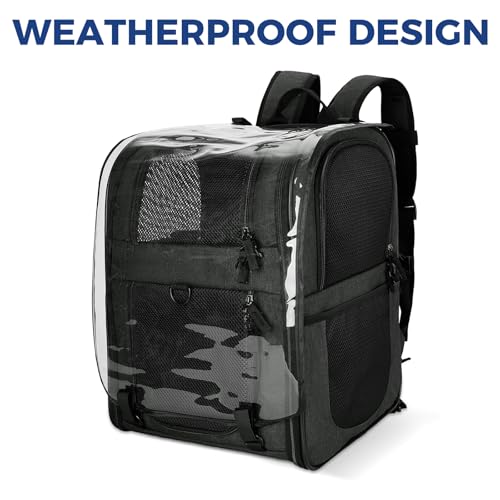 Apollo Walker Cat Carrier Backpack for Small Dogs and Cats Up to 18 lb | Expandable space, Four-Sided Breathable Mesh, Stability Package, Removable Pad,3D back panel,Thickened shoulder straps - color: Black-expandable