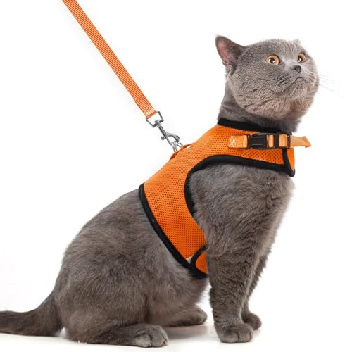 PUPTECK Soft Mesh Cat Vest Harness and Leash Set Puppy Padded Pet Harnesses Escape Proof for Cats Small Dogs Rabbits Bunny - color: Orange, size: L(NECK 8.5"-10.5", CHEST 12.5"-15", 6-10 lbs)