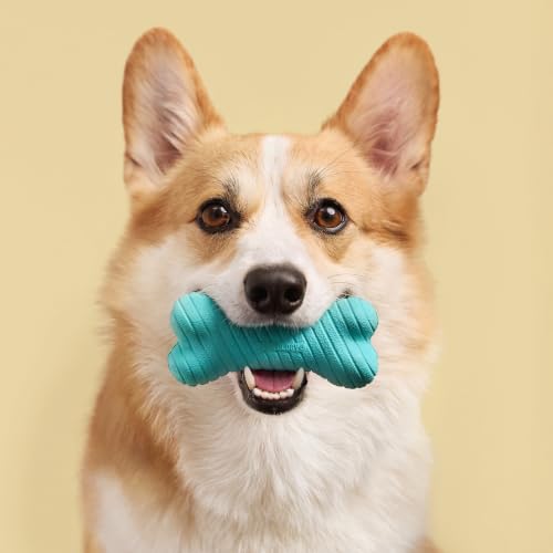 Playology Dual Layer Bone Dog Chew Toy - Medium, Peanut Butter Scent | Rubber Construction, All Natural Scent, Heavy Duty Design - size: Medium, style: Peanut Butter