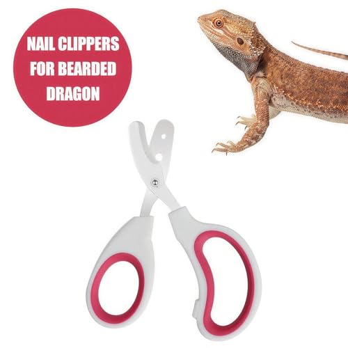 Stainless Steel Bearded Dragon Nail Clippers,Lizard Nail Clippers,Bearded Dragon Supplies,Bearded Dragon Nail Scissors for Small Reptiles,Turtle,Chameleon,Iguana，Hedgehog (Rose red) - color: Rose Red