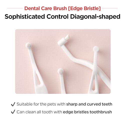 JAYU PET Dental Care Brush (Edge Bristles) 1ea - Micro Round Head Dog Toothbrush, Cat Toothbrush, Dental Care, Perfect for Kitten & Small Breed with End-tuft Diagonal-Shaped Bristle & Easy Grip Handle - color: Edge Bristles, size: 1 Count (Pack of 1)