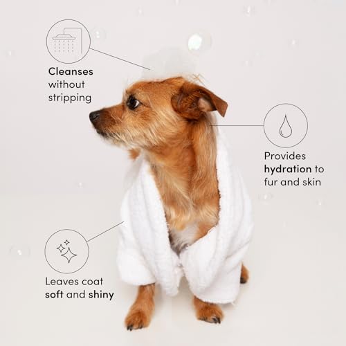 OUAI Fur Bébé Pet Shampoo - Mercer Street Scent (16 Fl oz) | Cat & Dog Shampoo for Gentle Cleansing, Hydration & Shine - Vegan & Cruelty-Free Pet Supplies with Aloe Vera & Panthenol