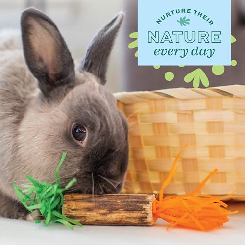 Oxbow Birthday Party Pack, Rabbit & Guinea Pig Toys, Bunny Enrichment Toys | Rabbit Chew Toys, Guinea Pig Enrichment, Guinea Pig Chew Toys, Rabbit Enrichment, Natural Materials, Small Pet Accessories - style: Birthday Pack