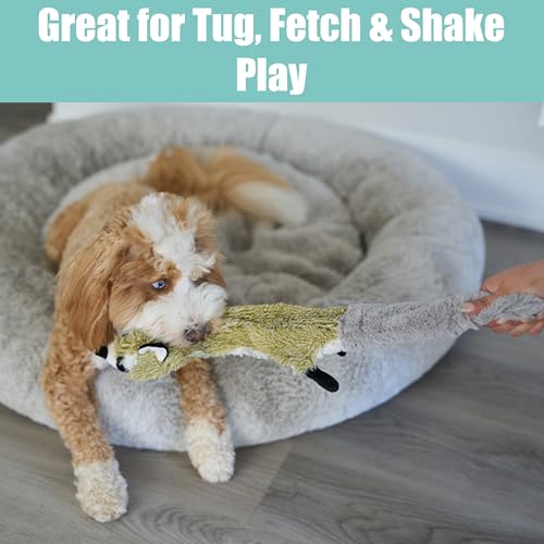SPOT Skinneeez Raccoon 23 Inch Stuffing-Free Dog Toy – Soft Plush Tug Toy with Two Squeakers for Medium and Large Dogs – Mess-Free Interactive Chew Toy - style: Raccoon