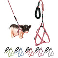 YeeBeny Mini Pig Harness Adjustable with Leash Foam Handle Red, S ﻿ | Adjustable Small Pig Harness with Leash Infinity Style Lead and Soft Foam Handle for Walking Training Jogging - color: Red, size: S