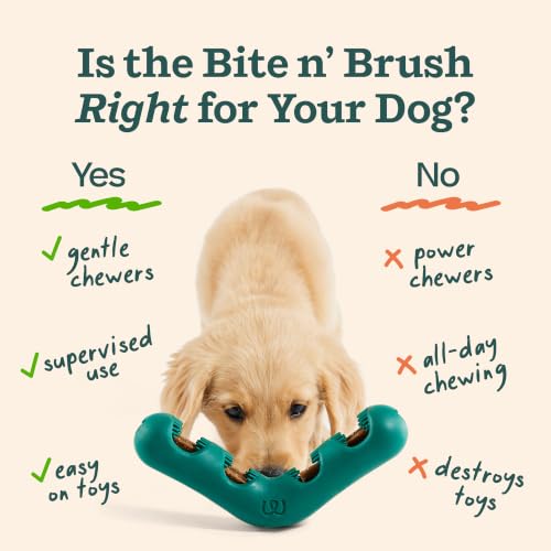 WOOF Bite n' Brush Dog Dental Chew Toy for Small Dogs 10-25 lbs | Dog toothbrush toy, V-shaped design, reusable, easy to clean, dental dog toy - size: Small