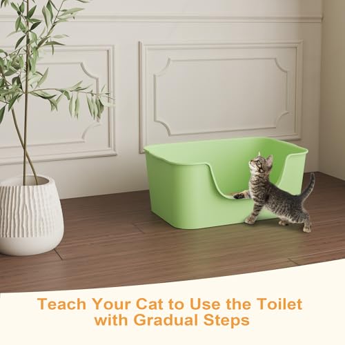 Low Entry Cat Litter Box with High Sides - Open-Top Anti-Splash, Durable Easy-Clean Pan for Kittens, Munchkin Cats, Senior Medium-Sized Cats & Small Pets (Rabbits), 19.3”x13.3”x7.8” Green