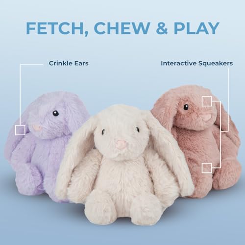 Best Pet Supplies Bunny Buddy Squeaky Plush Dog Toy - Mauve, Medium | Soft Plush, Squeaks & Crinkles, Perfect for Moderate Chewers, Toss & Fetch Play, Stress & Anxiety Reliever, Ideal Gift Toy - color: Bunny (Mauve), size: Medium