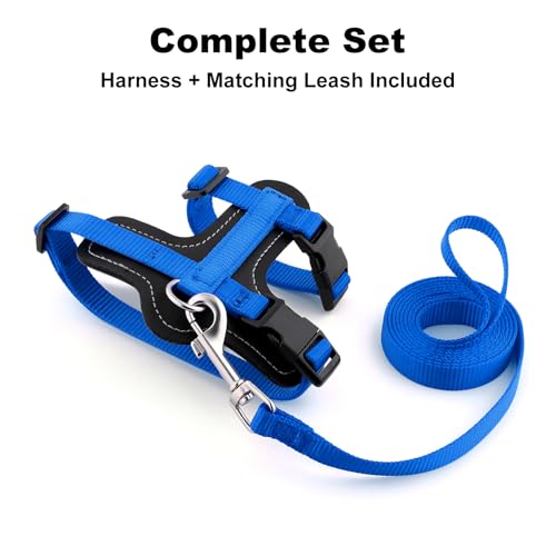 Plutus Pet Adjustable Cat Harness and Leash Set, with Leather Trim | Quick Release, Escape Proof Nylon Vest, for Kitten Small Medium Large Cats, Royal Blue - color: Royal Blue