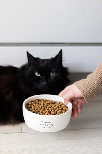 Pearhead Ceramic Meow Cat Bowl, Holds 12 oz, Modern Speckled White - color: Speckled "Meow", size: Single Bowl