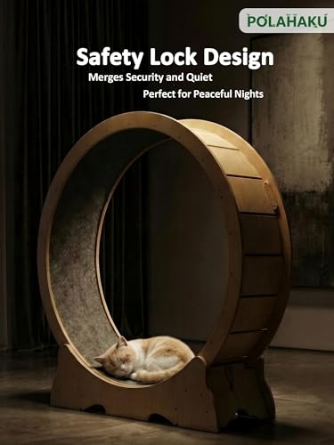 Cat Wheel for Indoor Cats, 48 Inch Diameter Exercise Running Wheel | Enhanced Base, Safety Lock, Quiet, For Cat's Longer Life Fitness, Wide Surface, Low-Entry Design, Easy Assembly, Natural Wood - color: Natural