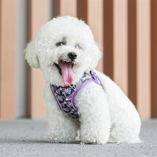 Step in Dog Harness No Pull Flower Adjustable Soft Mesh Harness | Reflective Pet Vest Harness and Leash Set for Small Medium Dogs - color: Purple, size: S(neck:10.5"-12",chest:13.5"-16")