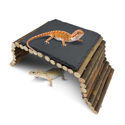 Reptile 15.7x5.9″Bendable Wooden Bridge with 5.9x5.9″Slate Rock Bearded Dragons Basking Platform Set Climbing Hideout Basking Terrace and Hide Cave for Lizard Gecko Flexible Habitat Decor - size: S: 15.7x5.9″Wooden Bridge,5.9x5.9″Slate Rock