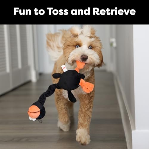 SPOT Chirpies Plush Dog Toy – Bird Sound Squeaky Toy for Small and Medium Dogs, Light to Moderate Chewers, Stretchy Bungee Neck, Recycled Stuffing – 14 in, Assorted Styles