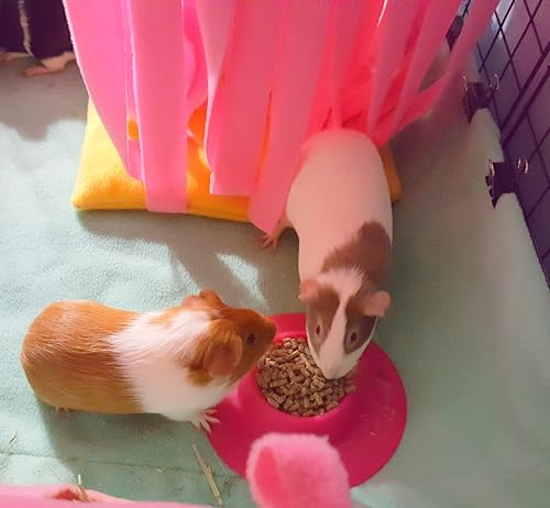 Tip-Proof Ergonomic Pet Bowl for Guinea Pig and Other Small Pets, 1/4-Cup Small Size, Fuchsia (Pink) - size: Small 1/4 cup
