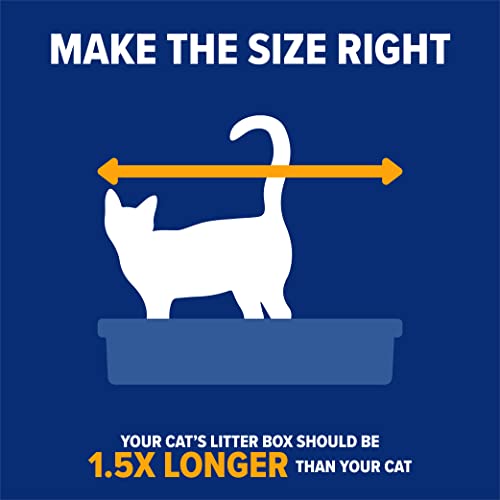 Arm & Hammer Rimmed Cat Litter Box with High Sides and Microban, Made in USA | Tall sturdy walls help contain spray, scatter and spills, easy everyday scooping, durable tray suits messy diggers at home - color: Pearl White/ Dark Gray, size: Standard