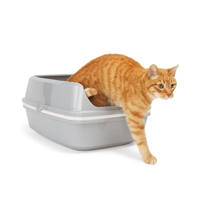 So Phresh by Petco Grey & White Lift-to-Sift Cat Litter Pan Large 19.7" L