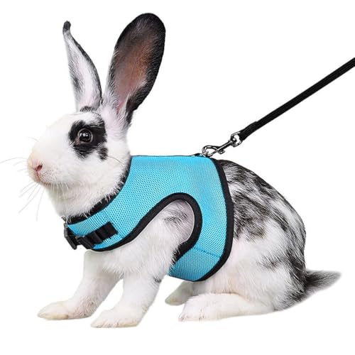 Blue Bunny Harness and Leash Set Ferret Harness Rabbit Vest, M | Quick-release, Breathable, Escape Proof, Suit For 2-3months Young Rabbit, 2-4months Ferret, 3-5months Guinea Pig - color: Blue, size: M