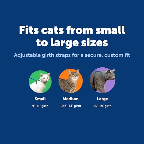 PetSafe Come with Me Kitty Harness and Bungee Cat Leash, Dusty Rose, Small | Adjustable 2-Point Fit Applies Gentle Pressure to Shoulders, Not Neck, for Kittens and Small Cats with 9 in - 11 in Girth - color: Dusty Rose, size: Small (Pack of 1)